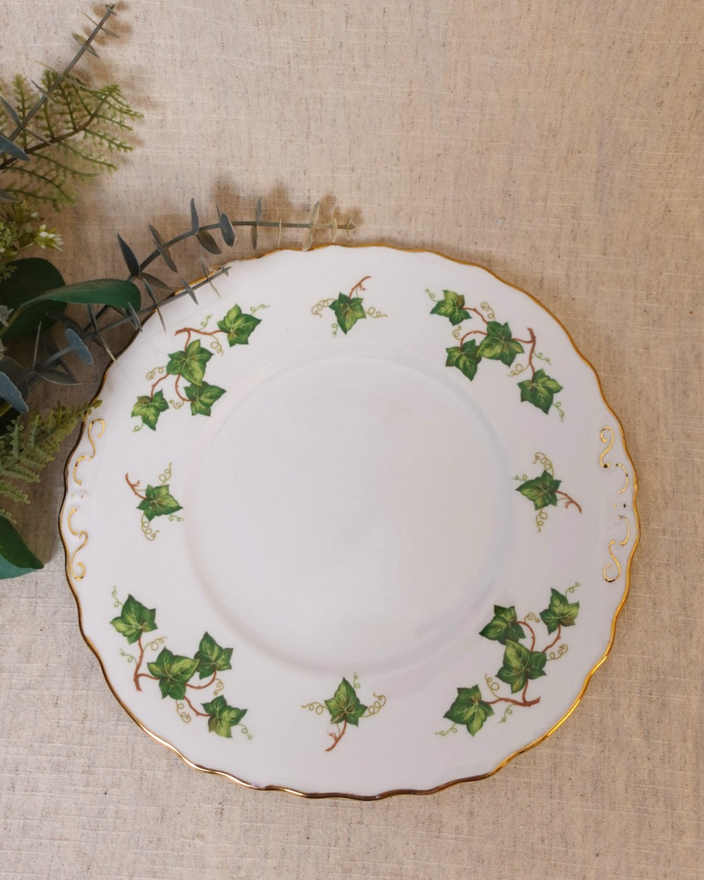 Vintage Bone China Plate with Ivy Design & Gold Detail