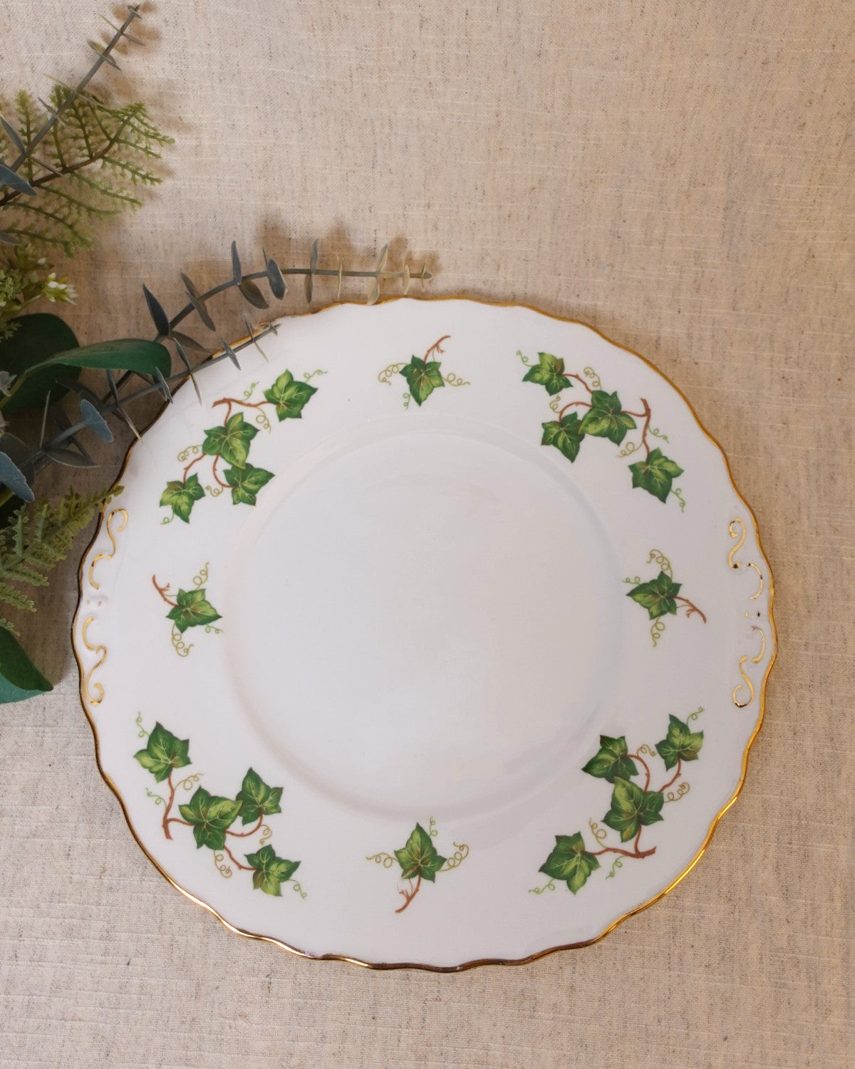 Vintage Bone China Plate with Ivy Design & Gold Detail