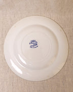 Vintage Blue and White Dinner Plate - Royal Staffordshire