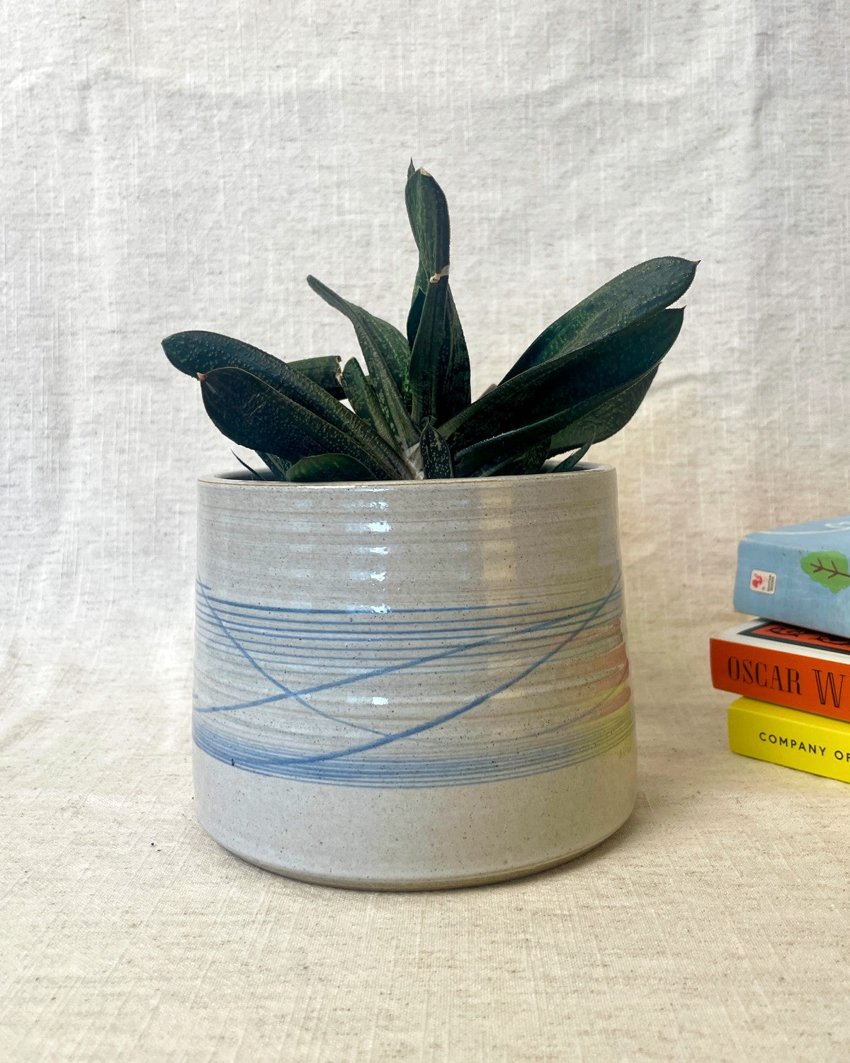 Grey & Blue Indoor Plant Pot