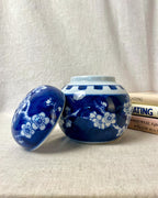 Vintage Chinese Blue and White Ginger Jar