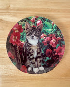 Cat Decorative Plate - 'Lady in Waiting'