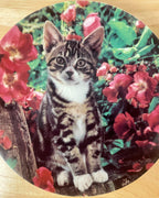 Cat Decorative Plate - 'Lady in Waiting'