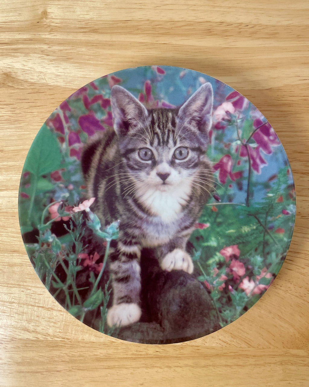 Cat Decorative Plate - 'King of the Castle'