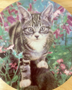 Cat Decorative Plate - 'King of the Castle'