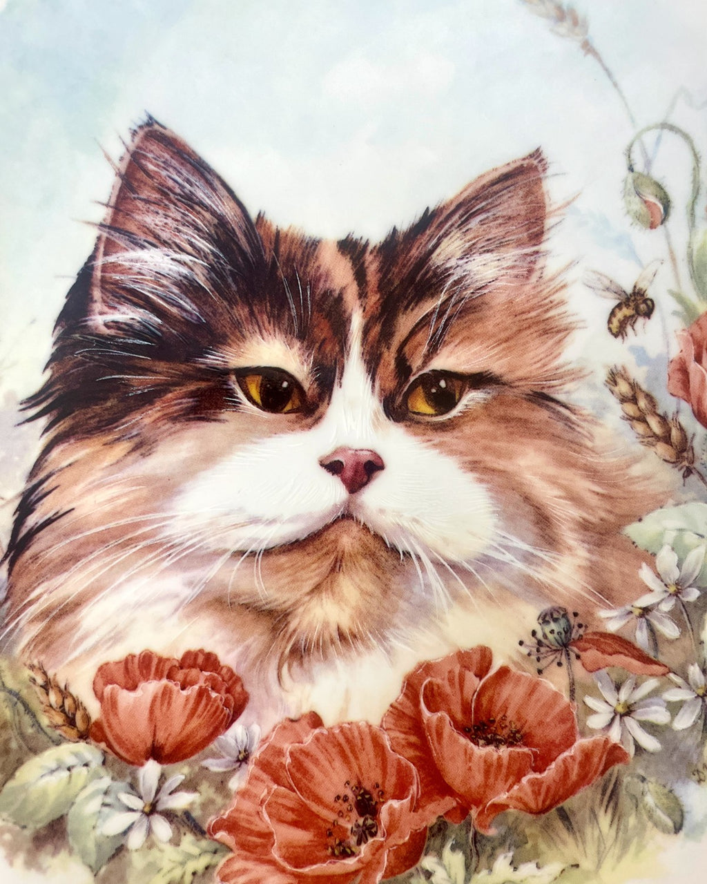 Royal Worcester Cat Decorative Plate - Gilt Edge