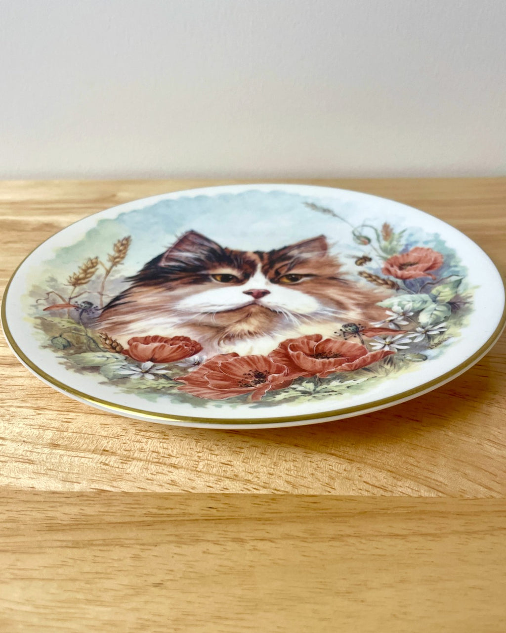 Royal Worcester Cat Decorative Plate - Gilt Edge