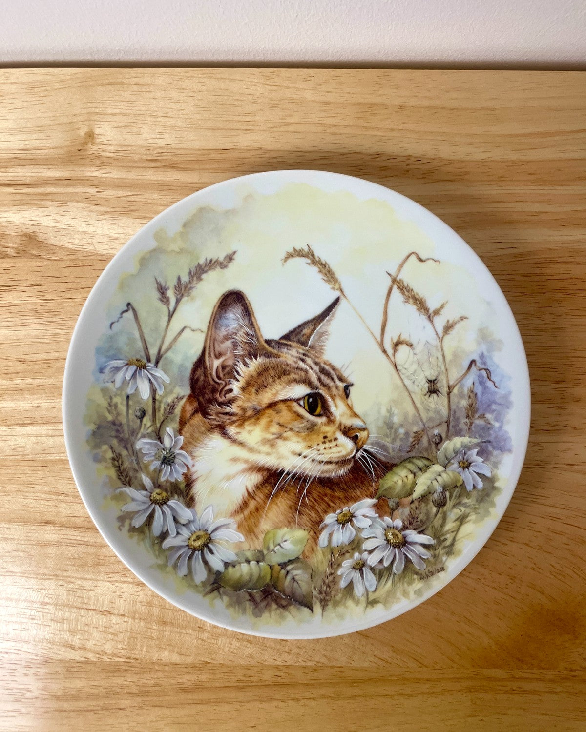 Royal Worcester Cat & Daisies Decorative Plate