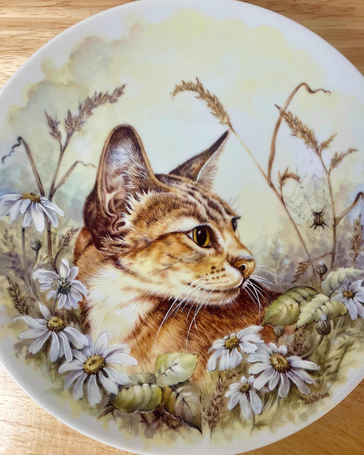 Royal Worcester Cat & Daisies Decorative Plate