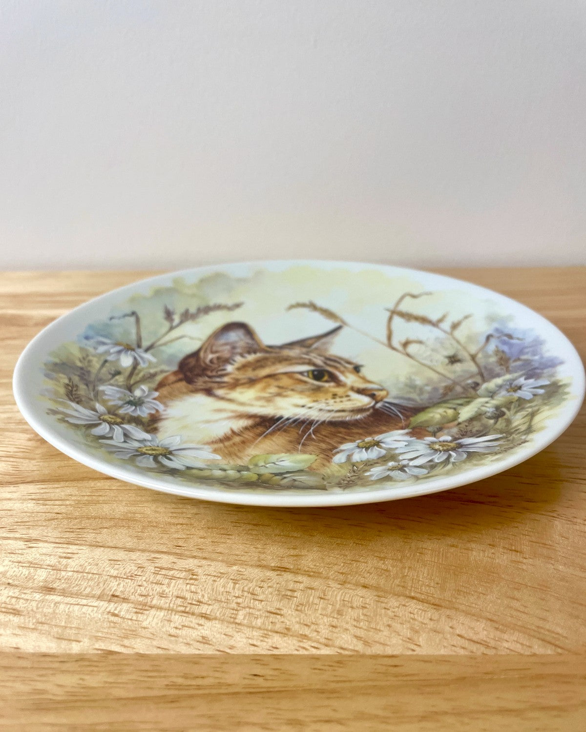 Royal Worcester Cat & Daisies Decorative Plate